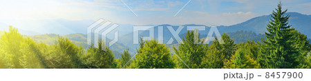 Carpathian mountain 8457900