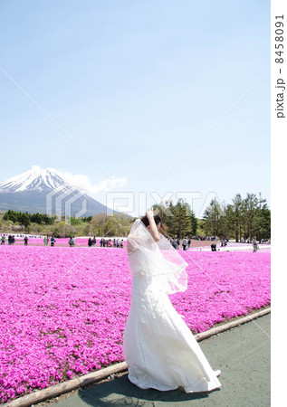 結婚 結婚 8458091