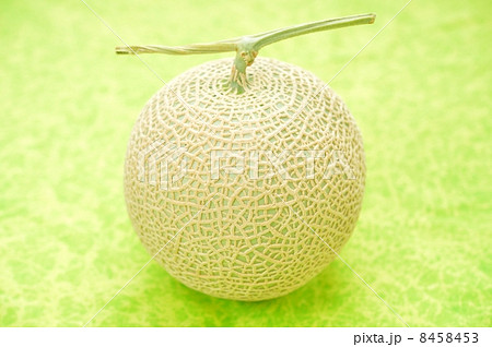 マスクメロン 静岡県磐田市産のクラウンメロン の写真素材