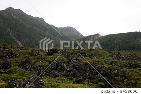 溶岩坪庭自然保護区 溶岩坪庭自然保護区 8458606