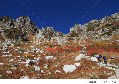 見事な紅葉の千畳敷カール 見事な紅葉の千畳敷カール 8459148