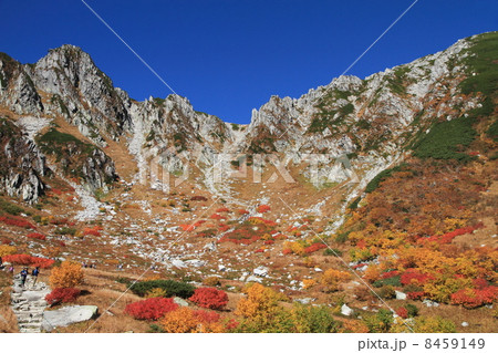 見事な紅葉の千畳敷カール 8459149