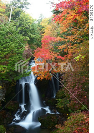 竜頭の滝 8459170