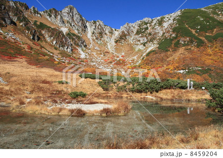 見事な紅葉の千畳敷カール 8459204