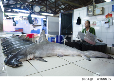 Effiel Tower Effiel Tower 8460015