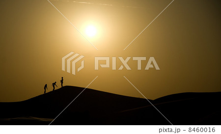 Effiel Tower Effiel Tower 8460016