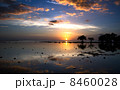 Phillipines Sunset Phillipines Sunset 8460028