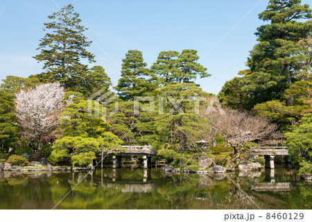 京都御所 御池庭 京都御所 御池庭 8460129