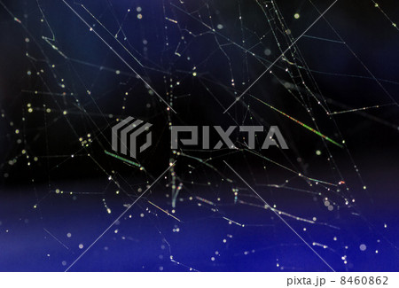 The spider web closeup background. Abstract background The spider web closeup background. Abstract background 8460862