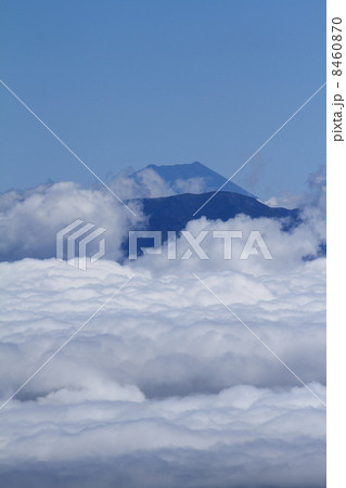 長野県駒ケ岳から臨む富士山 8460870