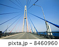 cable-stayed bridge to Russian Island. Vladivostok. Russia. 8460960