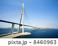 VLADIVOSTOK - APRIL 28 : cable-stayed bridge to Russian Island , on april 28, 2013, Vladivostok. Rus 8460963
