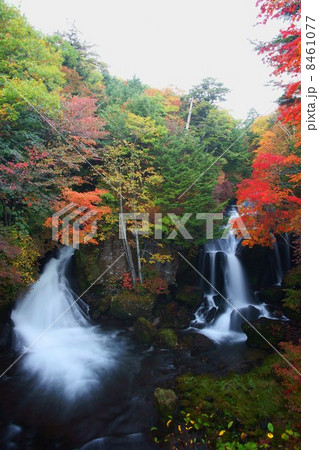 竜頭の滝 8461077