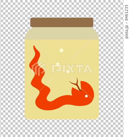 Pickled snakes in formalin Pickled snakes in formalin 8461235