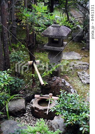 庭のつくばい-2 庭のつくばい-2 8461331