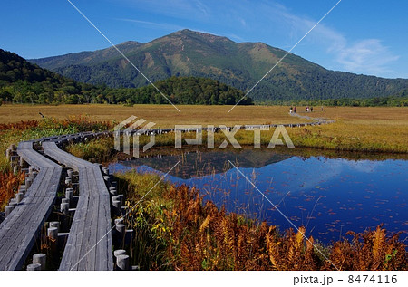 草紅葉の尾瀬 秋の尾瀬と地塘の写真素材