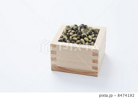 升に入った鞍掛豆 8474192