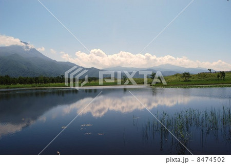 知床　五胡の風景 8474502