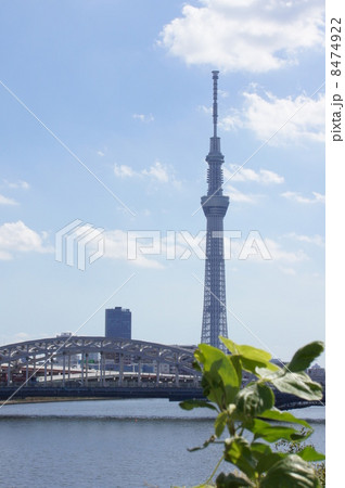 隅田川とスカイツリー 隅田川とスカイツリー 8474922