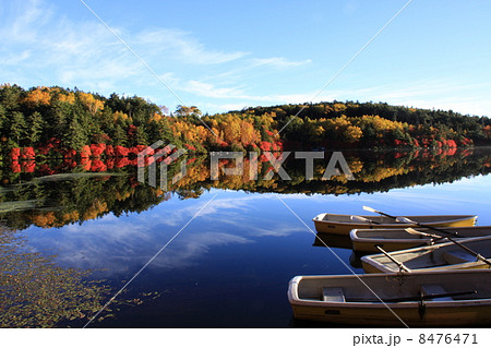 白駒池の紅葉 8476471