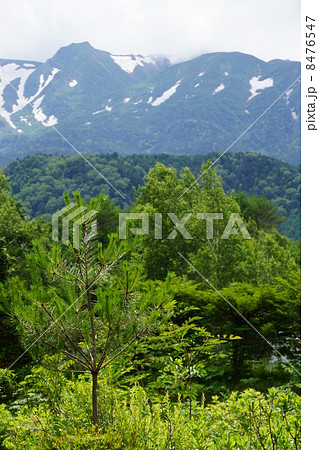 御嶽山 御嶽山 8476547
