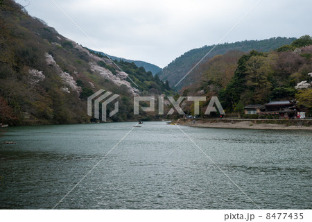 嵯峨野嵐山 8477435