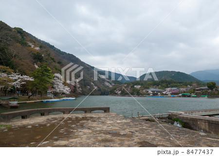 嵯峨野嵐山 8477437