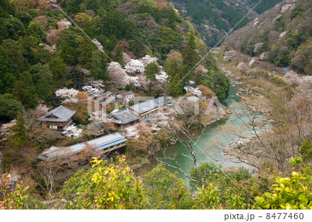 嵯峨野嵐山　保津峡谷 8477460