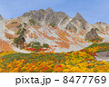 涸沢 8477769