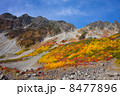 涸沢 8477896