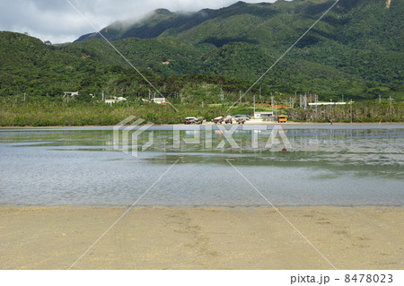 西表島 由布島 西表島 由布島 8478023