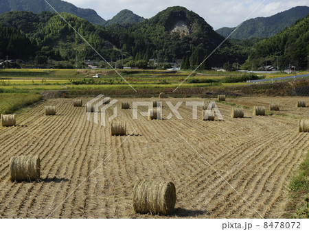 ロール状の藁 8478072