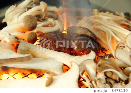 キノコの網焼き キノコの網焼き 8478130