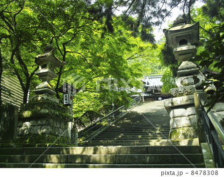 大雄山最乗寺２ 8478308