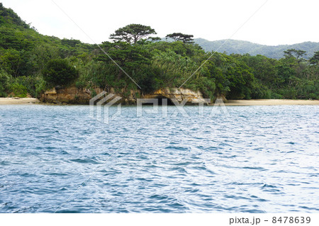 西表島 西表島 8478639