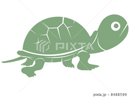 カメさん-グリーン 8488599