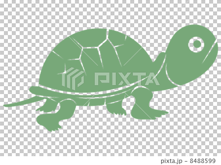 Turtle - Green 8488599