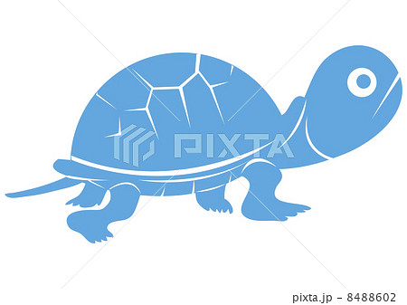 カメさん-ブルー 8488602