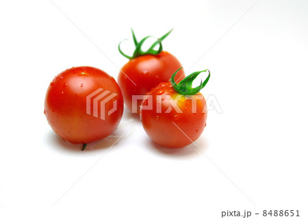 プチトマト 8488651