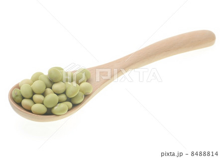 緑豆 8488814