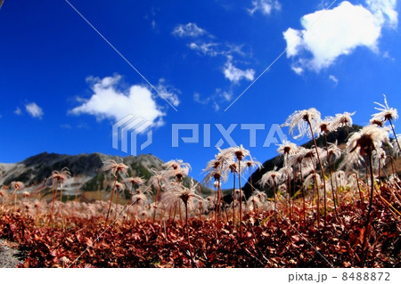 立山室堂平と立山連峰 立山室堂平と立山連峰 8488872
