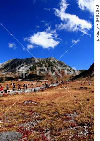 立山室堂平と立山連峰 立山室堂平と立山連峰 8488873