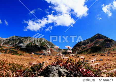 立山室堂平と立山連峰 8488874