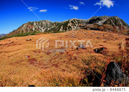 立山室堂平と立山連峰 立山室堂平と立山連峰 8488875