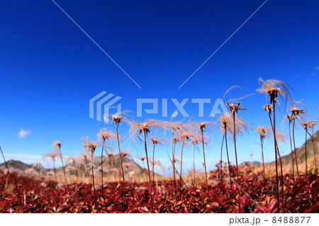 立山室堂平と立山連峰 8488877