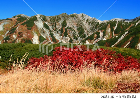 立山室堂平と立山連峰 8488882