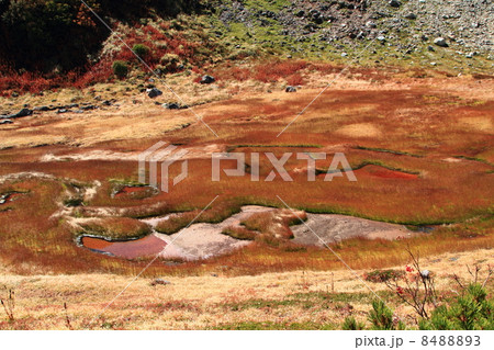 立山室堂平と立山連峰 立山室堂平と立山連峰 8488893