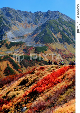 立山室堂平と立山連峰 8488899