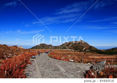 立山室堂平と立山連峰 立山室堂平と立山連峰 8488916