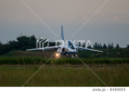 ブルーインパルス 8489005